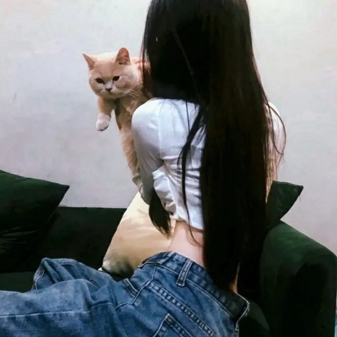 孟买玫瑰